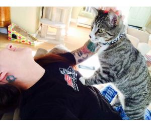 link.php?email=&zid=&tag=&source=10001&affid=